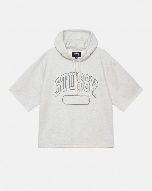 Stussy Ss Boxy Cropped Hoodie Majica s Kapuljačom Muške Sive Srbija | TYL-9380