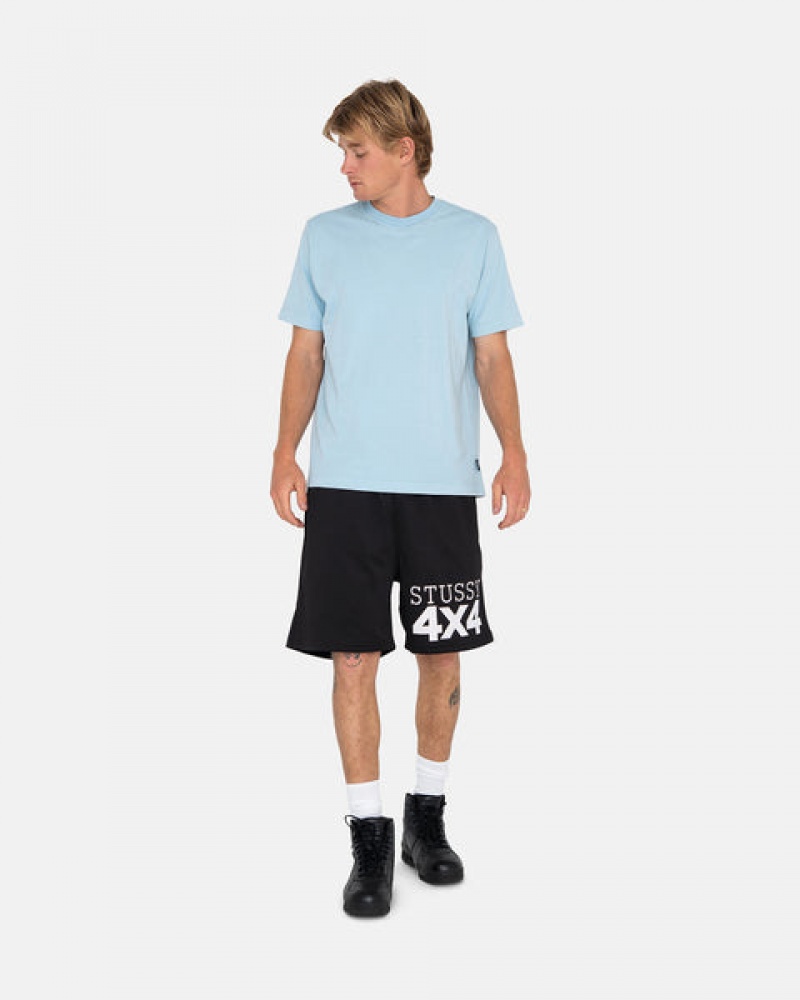 Stussy 4X4 Mesh Short Kratke Hlače Ženske Crne Srbija | VSS-7639