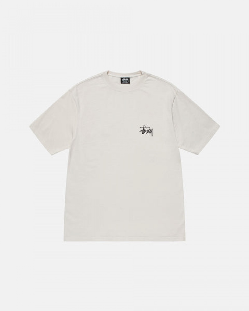 Stussy Basic Stussy Tee Tees Muške Bež Srbija | DEW-1164