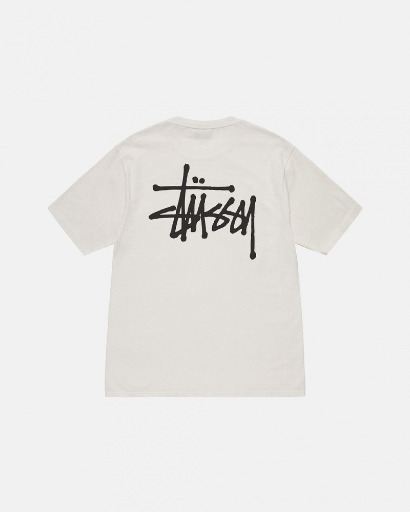 Stussy Basic Stussy Tee Tees Ženske Bež Srbija | QDM-6364