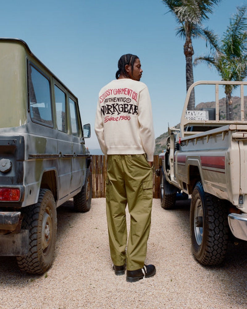 Stussy Beach Pant Ripstop Cargo Hlače Muške Smeđe Srbija | NDF-7380