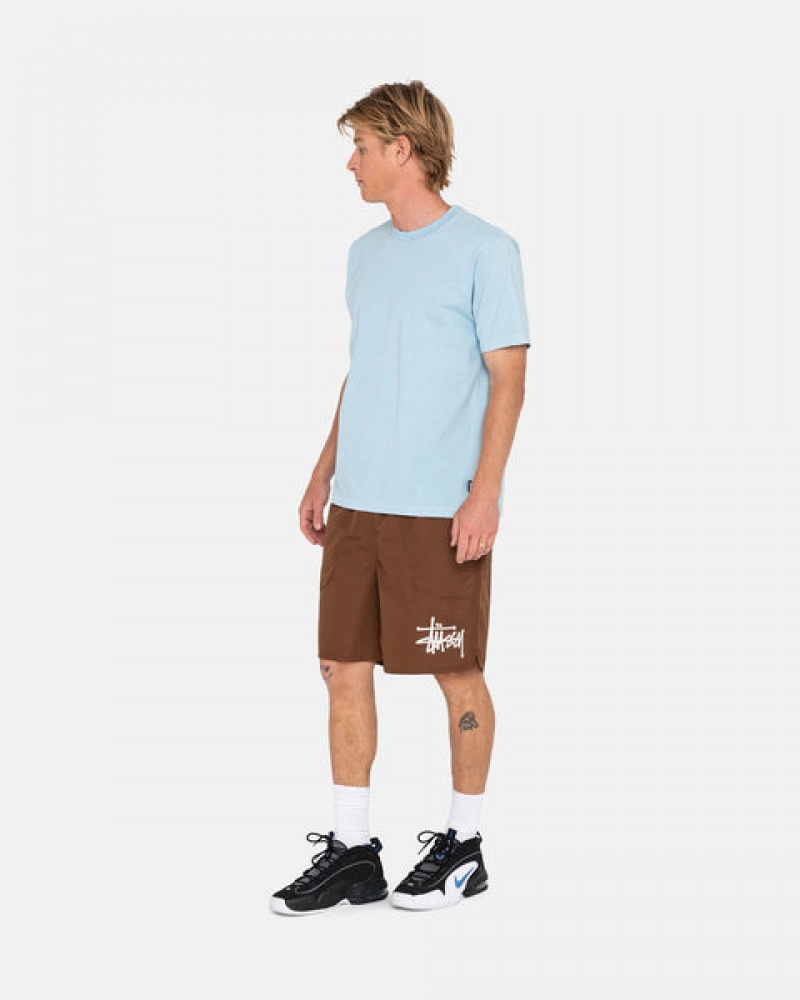 Stussy Big Basic Water Short Kupaći Kostimi Muške Kafe Srbija | ATM-4940