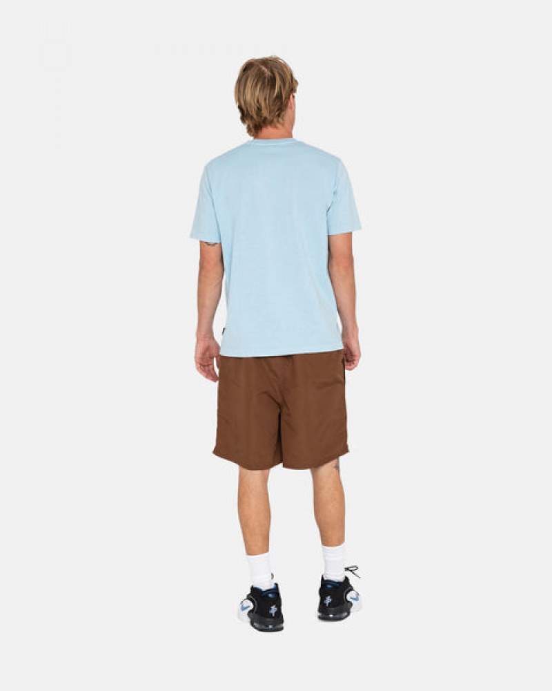 Stussy Big Basic Water Short Kupaći Kostimi Muške Kafe Srbija | ATM-4940