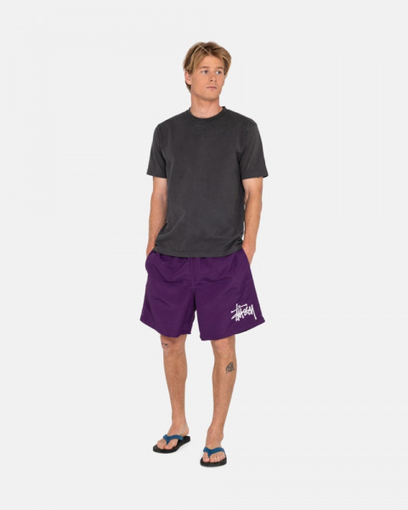 Stussy Big Basic Water Short Kupaći Kostimi Muške Fuksije Srbija | JRJ-3825