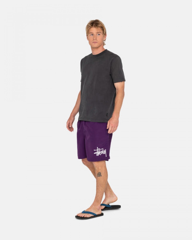 Stussy Big Basic Water Short Kupaći Kostimi Muške Fuksije Srbija | JRJ-3825