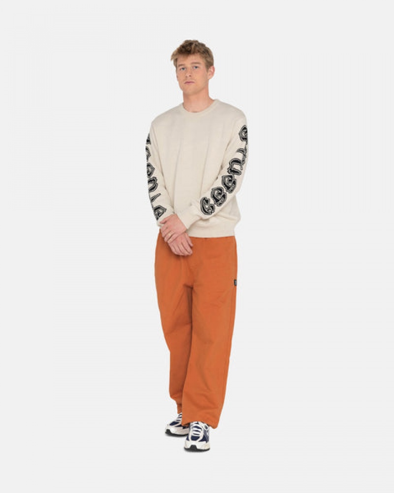 Stussy Brushed Beach Pant Hlače Ženske Smeđe Srbija | ICP-3192