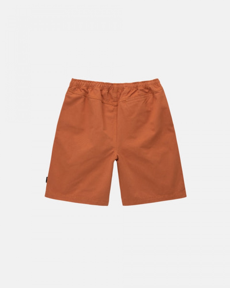 Stussy Brushed Beach Short Kratke Hlače Muške Smeđe Srbija | GDC-3536