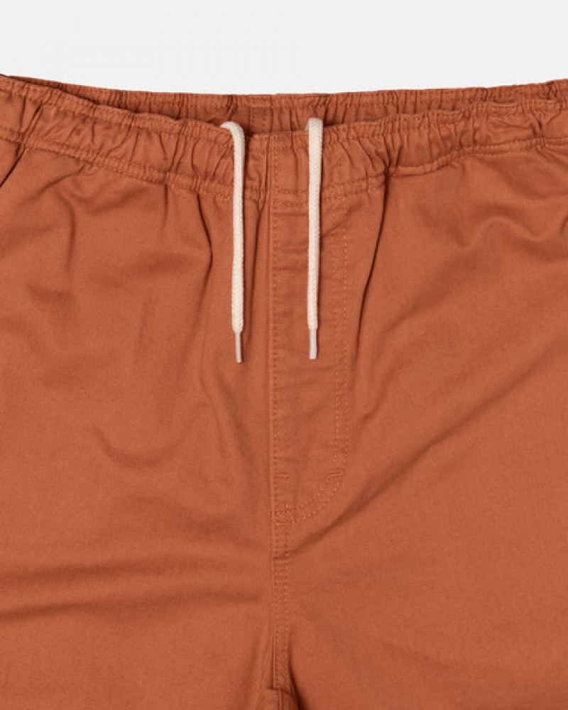 Stussy Brushed Beach Short Kratke Hlače Muške Smeđe Srbija | GDC-3536