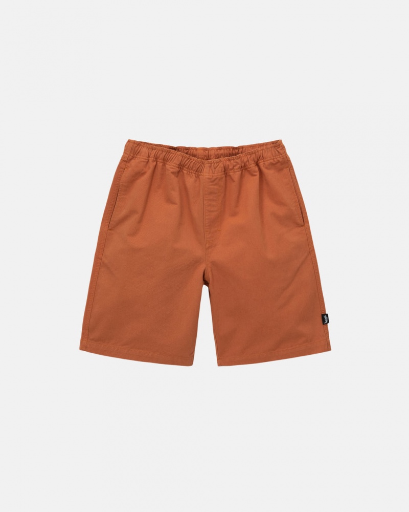 Stussy Brushed Beach Short Kratke Hlače Muške Smeđe Srbija | GDC-3536