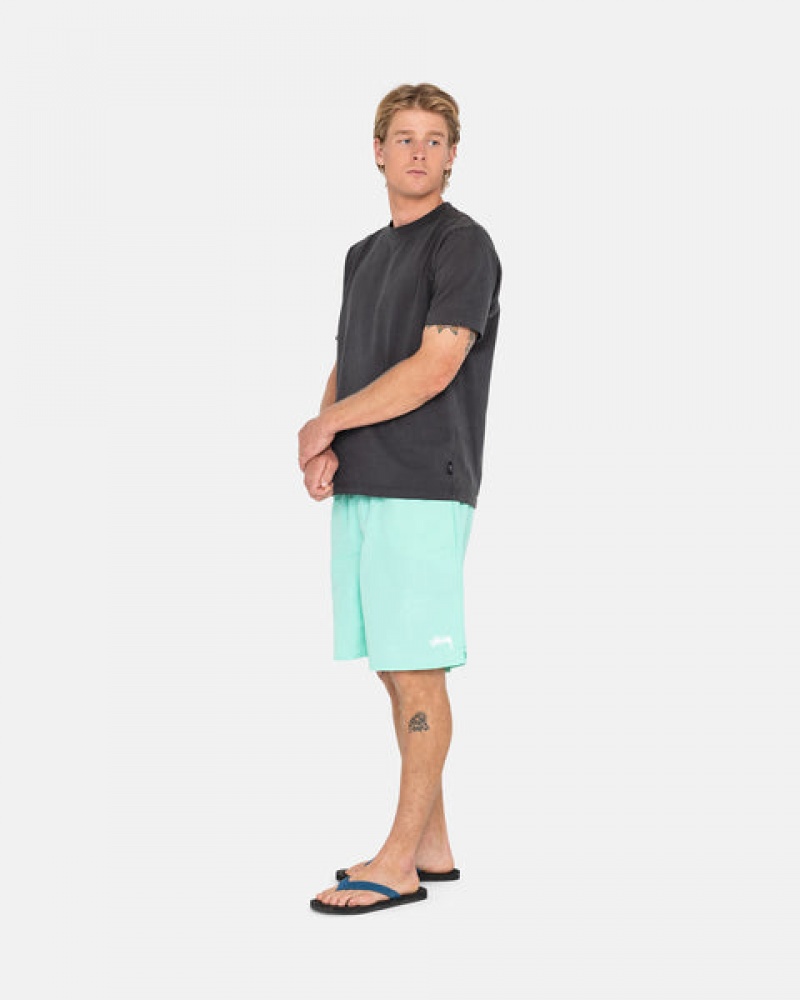 Stussy Stock Water Short Kupaći Kostimi Muške Svijetlo Tirkizne Srbija | DGF-5272