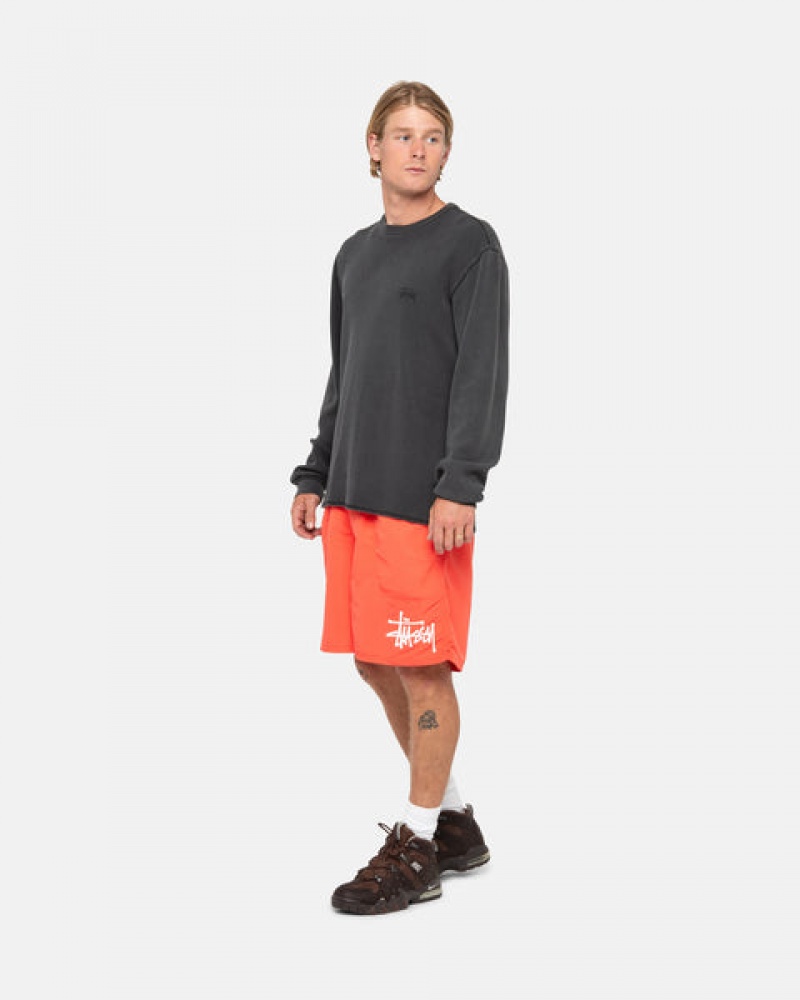 Stussy Water Short Big Basic Kratke Hlače Muške Koraljne Srbija | LHE-8811